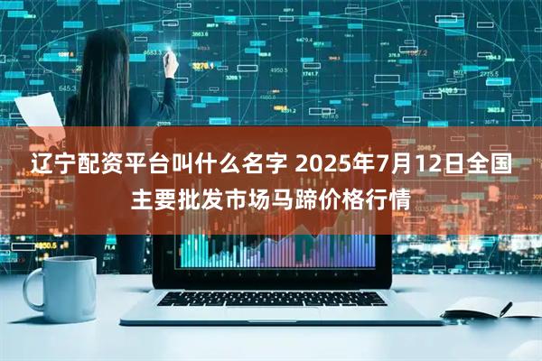 辽宁配资平台叫什么名字 2025年7月12日全国主要批发市场马蹄价格行情