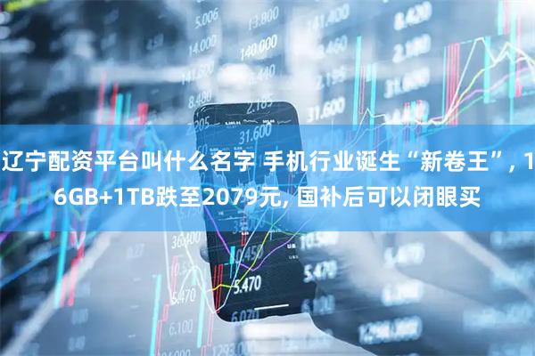 辽宁配资平台叫什么名字 手机行业诞生“新卷王”, 16GB+1TB跌至2079元, 国补后可以闭眼买