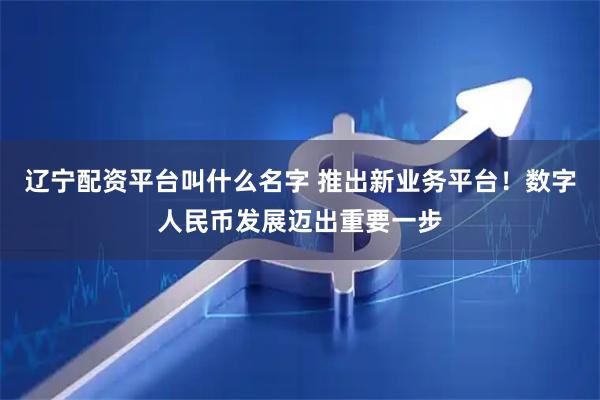 辽宁配资平台叫什么名字 推出新业务平台！数字人民币发展迈出重要一步
